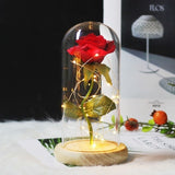 Rose In Glass Dome Romantic Valentine's Day Present