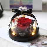 Rose In Glass Dome Romantic Valentine's Day Present